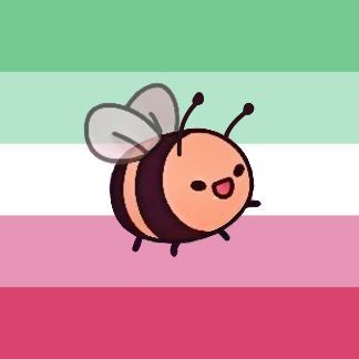 Bee, Rainbow