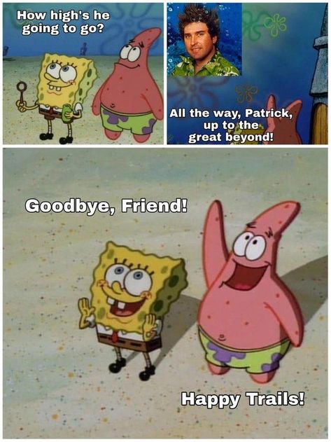 To the Great Beyond | SpongeBob SquarePants | Know Your Meme Spongebob Fanart, Spongebob Comics, Spongebob Stuff, Appetizer Buffet, Stephen Hillenburg, Funny Spongebob Memes, Spongebob Wallpaper, Spongebob Funny, His Secret Obsession