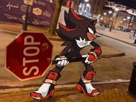 Silly Sonic, Shadow X Sonic, Shadow And Sonic, Sonic X Shadow, Sonic Prime, Shadow Sonic, Sonic Friends, Sonic Funny, Sonic Shadow