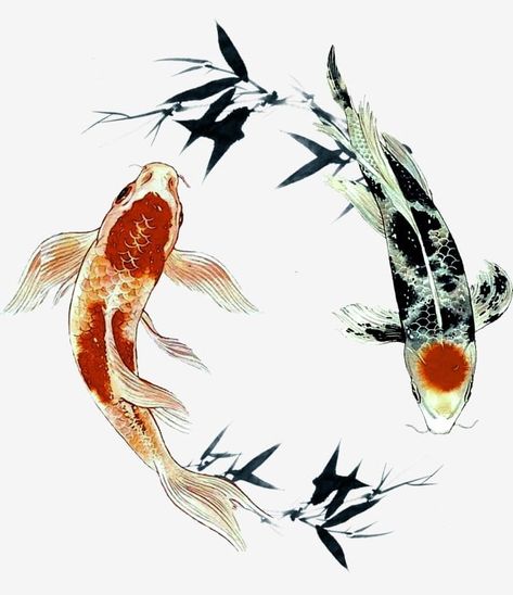 Koi Dragon, Fish Png, Koi Painting, Koi Fish Drawing, Koi Watercolor, Black Fish, Koi Art, Koi Tattoo, Koi Fish Tattoo