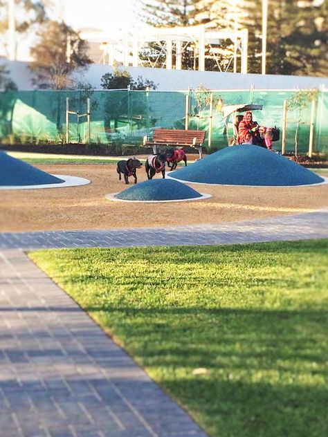 Dog Park Design Architecture, Pet Park Design, Dog Park Design, Indoor Dog Park, Dog Kennel Cover, Diy Dog Kennel, Dog Parks, Dog Playground, Pet Resort