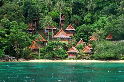 Bungalow Resorts, Phi Phi Thailand, Phi Phi Islands, Koh Phi Phi, Should I Stay, Thailand Hotel, Phi Phi Island, Life Guide, Relaxing Vacations