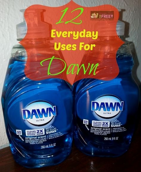 12 Everyday Uses For Dawn Dishwashing Liquid!  http://www.groceryshopforfree.com/12-everyday-uses-dawn-dishwashing-liquid/  #tips #tricks #hacks #dawn Dawn Dishwashing Liquid, Clean Baking Pans, Cleaning Painted Walls, Money Saving Recipes, Living On A Dime, Thrifty Thursday, Dawn Dish Soap, Glass Cooktop, Deep Cleaning Tips