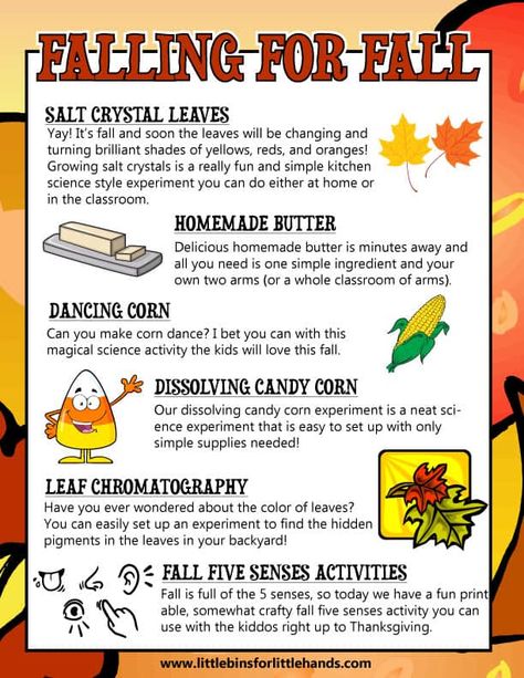 Festive Fall STEM Activities For Kids - Little Bins for Little Hands Fall Stem Activities For Kids, Stem Activities For Preschoolers, Homeschool Fall Activities, Fall Stem Challenges, Steam Activities Elementary, Thanksgiving Stem Activities, Fall Stem Activities, Simple Stem Activities, Thanksgiving Stem