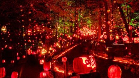 Jack O Lantern Spectacular, Halloween America, Kentucky Travel, Pumpkin Festival, Pumpkin Display, Walking Trail, Winter Wood, Halloween Time, Halloween Event