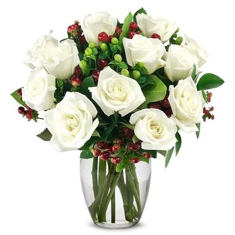 One Dozen White Roses with Christmas Berries at Send Flowers Cube Vase, Christmas Roses, Mini Carnations, Christmas Berries, Flowers And Gifts, Christmas Floral Arrangements, Flowers Delivery, Roses Red, Special Flowers