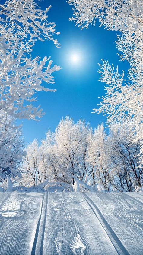 Winter Scenes Wonderland, Beautiful Winter Pictures, Winter Landscape Photography, Beautiful Winter Scenes, Iphone Wallpaper Winter, Snow Pictures, Snow Art, Scenery Pictures, Winter Wallpaper