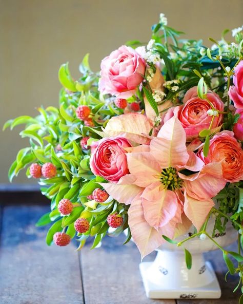 Amaryllis Arrangement, Flower Magazine, Amaryllis Flowers, David Austin Roses, Coral Flowers, David Austin, Floral Designer, Christmas Flowers, Types Of Flowers