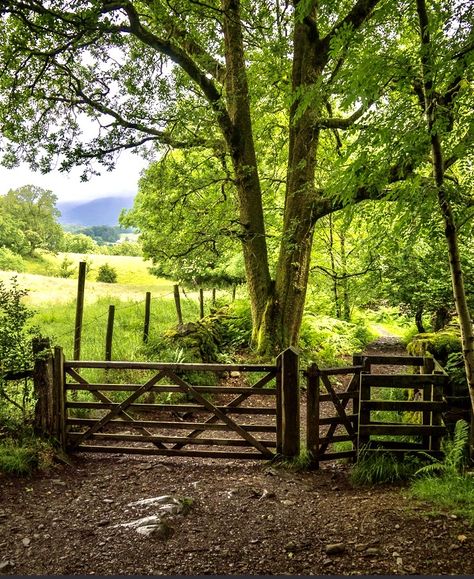 Irish Farm, Fish Room, Fishing Room, Beautiful Places To Live, Landscaping Diy, Old Fences, Rural House, Quaint Village, Sense Of Community