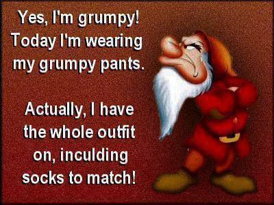 Yes, I'm grumpy! Today I'm wearing my grumpy pants. Actually, I have the whole outfit on, including socks to match! Grumpy Quotes, Grumpy Pants, Funny Disney Shirts, Grumpy Man, Funny Disney, Funny Bunnies, Seven Dwarfs, Disney Quotes, Disney Funny