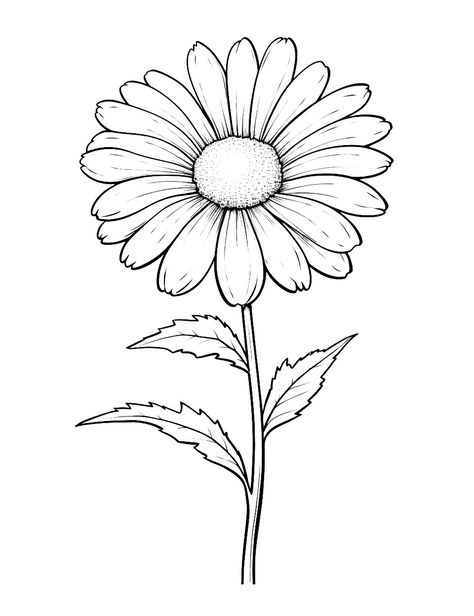 Flower Coloring Pages Free Printable, Pretty Flower Drawing, Realistic Rose Drawing, Daisy Drawing, Sunflower Coloring Pages, Simple Flower Drawing, Printable Flower Coloring Pages, Rose Coloring Pages, Frog Coloring Pages