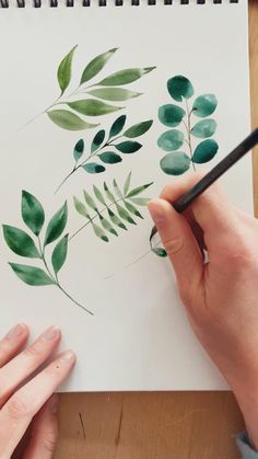 Water Colour Ideas, Water Colouring, Watercolor Botanicals, Watercolour Techniques, Learn Watercolor Painting, Paintings For Beginners, Watercolor Flowers Tutorial, Paintings Easy, Watercolour Ideas