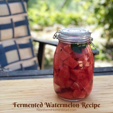 Fermented Watermelon Recipe - Northern Homestead Fermented Watermelon, Syrniki Recipe, Canned Zucchini, Recipe Using Zucchini, Watermelon Farming, Watermelon Recipe, Pickled Watermelon Rind, Watermelon Pickles, Lithuanian Recipes