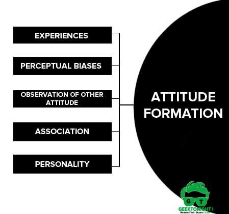 Know about the Process of Formation of Attitude in Organisational Behaviour.