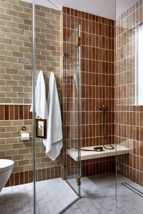 Beautiful brown tile in a bathroom space Earth Tone Tile, Spotted Lake, Brown Tile Bathroom, Bathrooms Vanity, Embassy Row, Frame Bathroom, Brown Tile, Traditional Bathroom Designs, Washington Park