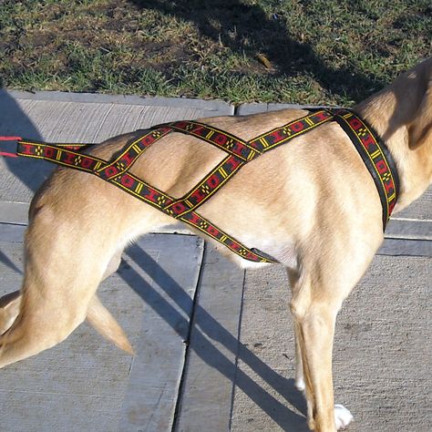 Sled Dog Harness, Dog Leash Diy, Howling Dog, Dog Harness Pattern, Harness Design, Style Harness, Diy Dog Crate, Dog Trailer, Dog Accesories