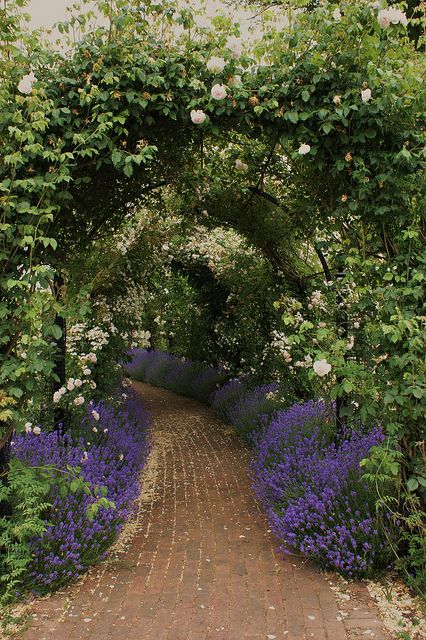 Lavender & Roses Paved Walkway, Rose Arbor, Flowers And Greenery, Garden Arches, Garden Arbor, Have Inspiration, Garden Pathway, Garden Set, Gorgeous Gardens