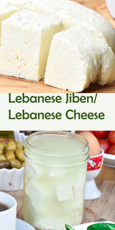 Homemade Cheeses, Marshmallow Sauce, Cheese Recipes Homemade, Home Pantry, Cheese Making Recipes, Goat Milk Recipes, Dairy Recipes, Syrian Food, Diy Cheese