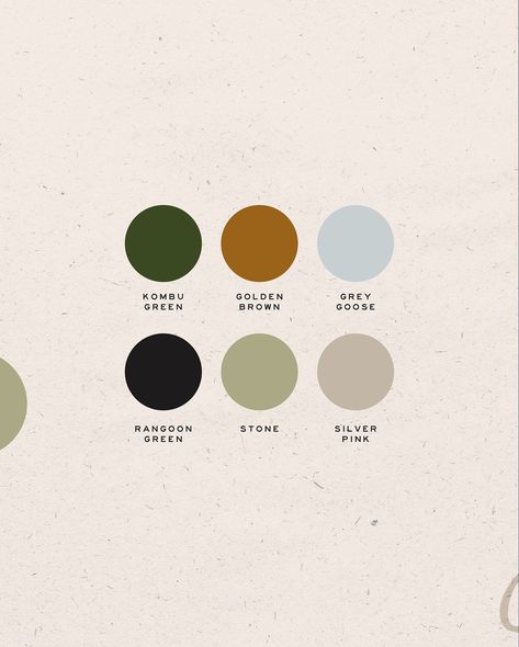 If August were a color palette 🐚 #colorpalette #colorinspiration #brandinginspiration #branddesign #brandidentity #modernbranding #fempreneur #womeninbusiness #augustaesthetic #summeraesthetic Studio Branding, Modern Branding, A Color, Branding Inspiration, Summer Aesthetic, Color Inspiration, Brand Identity, Ivy, Color Palette