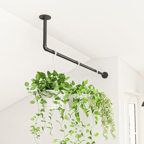 Bamworld L-Shaped Hanging Planters for Indoor Plants 42in Plant Hanger for Corner Plant Hanger Indoor Window Plant Shelves Ceiling Wall Mount Floating Black Metal Rod(Pot&Plant Not Included) Diy Curtain Rod Plant Hanger, Hanging Plant Ceiling, Draping Plants Indoor, Plants From Ceiling, Indoor Window Planter, Window Plant Shelves, Planters For Indoor Plants, Diy Curtain Rods, Corner Plant