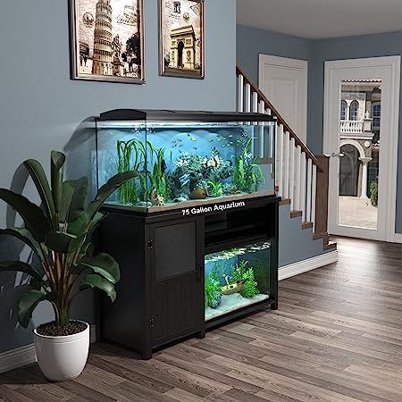 100 Gallon Fish Tank Ideas, Fishtank Stands Ideas, Large Fish Tank Ideas Living Rooms, 50 Gallon Fish Tank Ideas, 40 Gallon Aquarium Ideas, 55 Gallon Fish Tank Ideas, 20 Gallon Fish Tank Ideas, 10 Gallon Fish Tank Ideas, Aquarium Stand Ideas