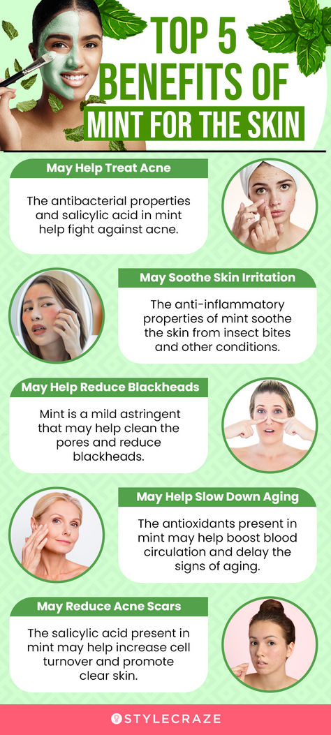 Uses For Mint Leaves, Mint Benefits Health, Mint Leaves Benefits, Mint Benefits, Dairy Free Breastfeeding, Skin Care Benefits, Natural Acne Remedies, Holistic Beauty, Acne Remedies