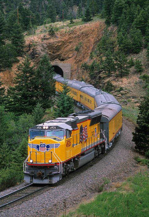 Train Hopping, Union Pacific Train, Scenic Train Rides, Steam Engine Trains, Railroad Pictures, Union Pacific Railroad, Railroad Photography, Train Art, Railroad Photos