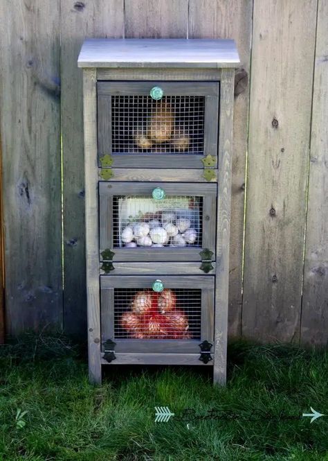 How to build a vegetable bin cupboard - DIY projects for everyone! Bin Cupboard, Room Diys, Potato Bin, Produce Bin, Diy Cupboards, Vegetable Bin, Mother Earth Living, Diy Organizer, Microwave Stand