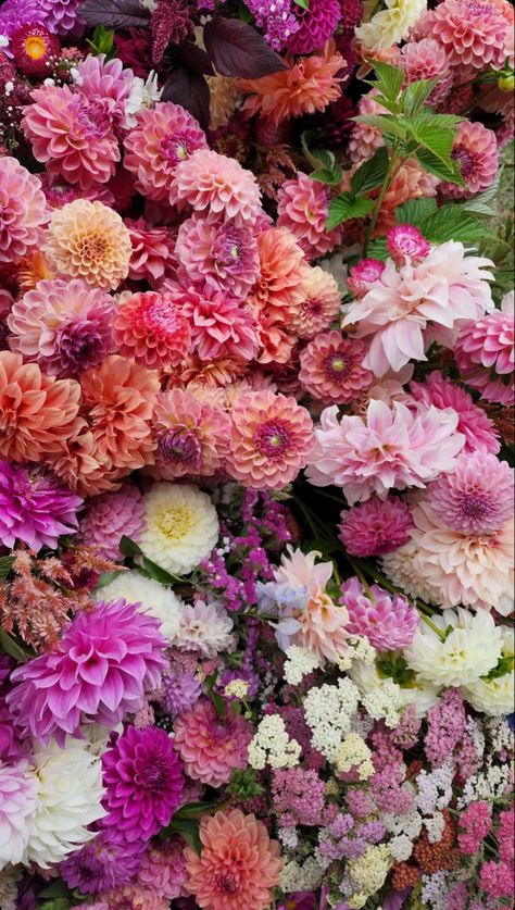 pink flowers dahlia season Dhalia Aesthetic Bouquet, Delilah Flower, Pink Dahlias, Market Booth, Pink Dahlia, Floral Work, Flower Business, Booth Ideas, March 2024