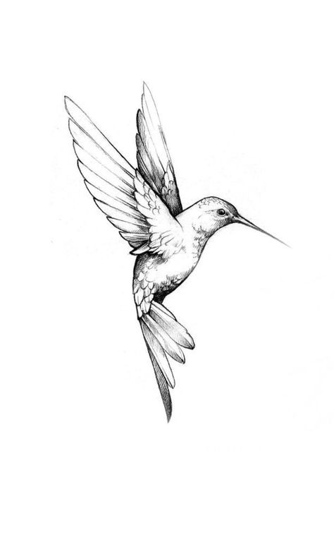 April Tattoo Ideas Birth Month For Men, Humming Birds Tattoo Design, Shaded Tattoos Women, 2 Hummingbirds Tattoo, Two Hummingbird Tattoo, Minimalist Hummingbird Tattoo, Scattered Tattoos Sleeve Women, Fineline Tattoo Design, Fine Line Hummingbird Tattoo