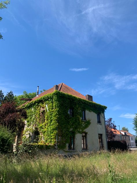 Vines On A House, House Covered In Vines, Old House With Vines, Vine Covered House, House With Vines On It, House With Vines, Plaster House, Two Story Homes, Brick Building