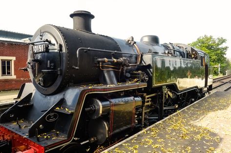 https://flic.kr/p/2nUaRRZ | Bluebell Railway Sussex | Sheffield Park Station ..Southern Railway Heritage...locomotive built in 1957.. Bluebell Railway, Southern Railways, British Rail, Sheffield, Places To Visit, Built In, Train, Building, Quick Saves