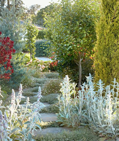 Flowers, Fruit Trees, and Entertaining Spaces Abound Inside This Organic Garden in California California Cottage Garden, California Garden Design, Beach Landscaping, Southern California Garden, Xeriscape Ideas, Terrace Landscape, Backyard Plans, California Native Garden, Mountain View California