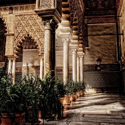 Uagadou Aesthetic, Ancient Arabian Aesthetic, House Martell Aesthetic, Martell Aesthetic, Game Of Thrones Aesthetic, Elia Martell, Fantasy Places, Orange Tree, Arabian Nights