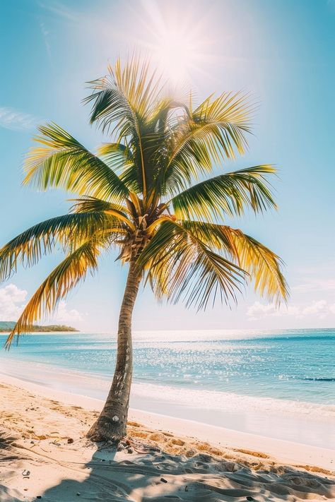 Beach wallpaper background outdoors vacation | Premium Photo - rawpixel Beach Wallpaper Iphone, Palm Beach Resort, Outdoor Vacation, Coconut Palm, Beach Wallpaper, Beach Resort, Premium Photo, Palm Tree, Palm Beach