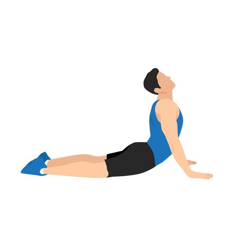 Cobra Stretch Exercise, Cobra Exercise, Easy Morning Stretches, Cobra Stretch, Exercise Illustration, Abdominal Stretches, Be More Flexible, Morning Stretches, More Flexible