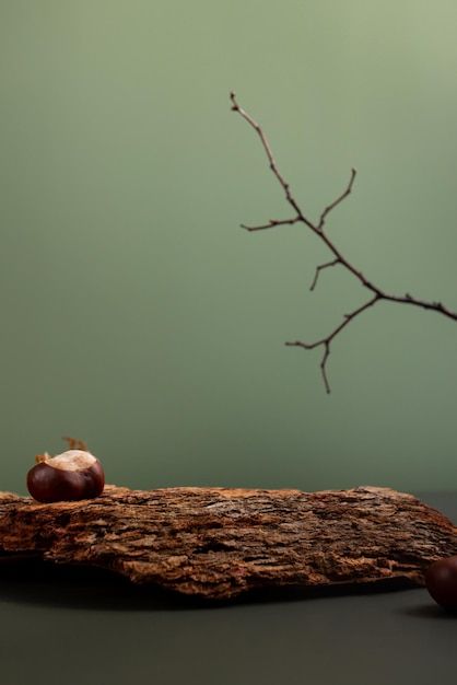 Photo natural background podium for cosm... | Premium Photo #Freepik #photo #wood-podium #nature-podium #rock-podium #stone-podium Green Photography Background, Nature Product Background, Forest Product Photography, Product Photography Background, تحت الدرج, Photography Backdrops Diy, Creative Advertising Photography, Wood Bark, Rock Photography