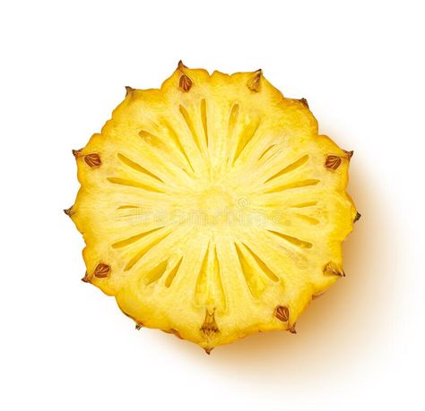 Pineapple slice isolated on white background, top view stock image Fruit Mosaic, Shadow Element, Section Drawing, Pineapple Images, Pineapple Slices, Cross Section, Macro Photos, Dream Nails, Lizards