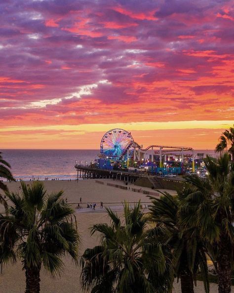 Santa Monica California Pier Santa Monica, Los Angeles Aesthetic, Santa Monica Beach, California Vibe, Tropical Travel, California Sunset, Santa Monica Pier, Santa Monica California, California Love