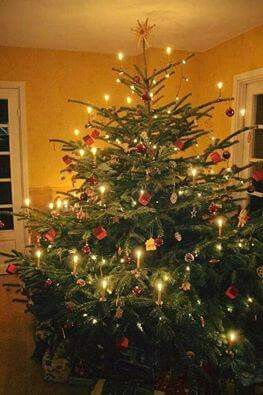 Old Fashioned Christmas Tree with Candles instead of lights!!! Bebe'!!! So pretty!!! German Christmas Tree, Real Christmas, Real Christmas Tree, Christmas Tree Candles, German Christmas, Christmas Tree Ideas, White Lights, Beautiful Christmas Trees, Old Fashioned Christmas