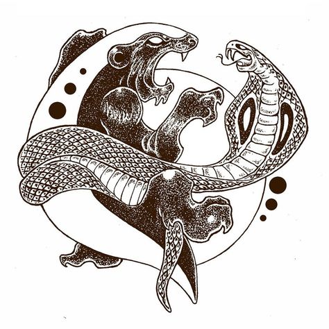 Honey Badger Drawing, Honey Badger Tattoo, Badger Drawing, Badger Tattoo, Snake And Mongoose, Aa Tattoos, Drawing Graphic Design, King Cobra Snake, Badgers Logo