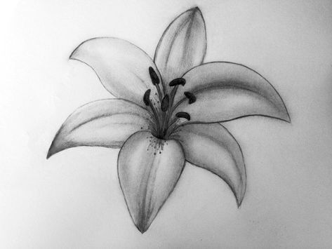 Cataleya Flower Tattoo Design, Kataleya Flower Tattoo, Cataleya Flower Tattoo, Métis Beading, Lily Tattoo Ideas, Stargazer Lily Tattoo, Youtube Pic, Flower Tattoo Stencils, Mother Tattoos For Children