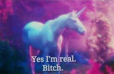 Yassss Unicorn Meme, Unicorn Aesthetic, The Adventure Zone, Last Unicorn, Star Vs The Forces Of Evil, Star Vs The Forces, A Unicorn, Force Of Evil, Unicorn Party