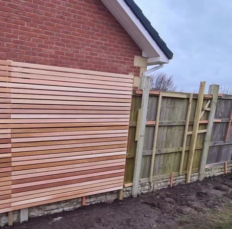 Fence Covering Ideas, Diy Fence Ideas Cheap, Cheap Fence Panels, Low Maintenance Garden Design, Timber Battens, Stainless Steel Panels, Home Greenhouse, Treated Timber, Summer Backyard