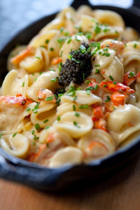 8 Luxurious Mac And Cheese Dishes With Truffle, Lobster, Caviar, And More Elevated Recipes, Mac And Cheese Dishes, Caviar Dishes, Truffle Mac And Cheese, Cheese Day, Lobster Mac, Lobster Mac And Cheese, Edible Gold Leaf, Cheese Dishes