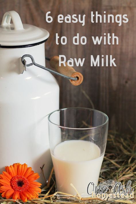 Raw Cow Milk Recipes, What To Do With Extra Milk, What To Make With Milk, Recipes That Use A Lot Of Milk, Unpasteurized Milk, Wise Traditions, Milk Ideas, Raw Dairy, Weston Price