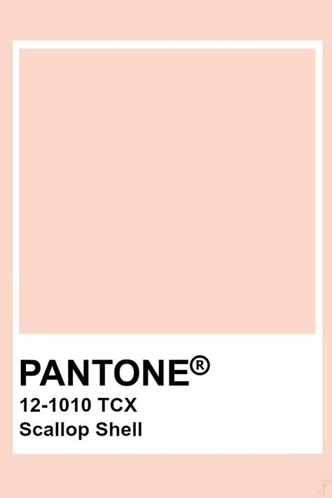 Pantone Scallop Shell Pantone Tcx, Pantone Color Chart, Pantone Swatches, Pantone Palette, Color Pantone, Pantone Colour Palettes, Orange Color Palettes, Pantone Colors, Scallop Shell