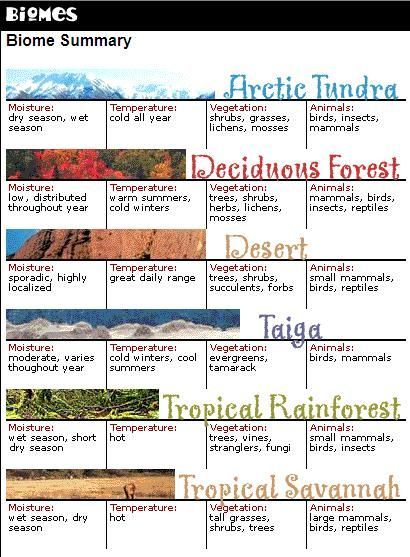 Biome Poster Project, Biome Science Project, Biomes Anchor Chart, Biome Project, Taiga Biome Project, Taiga Biome, Biome Project Ideas, Grassland Biome, Biomes Project