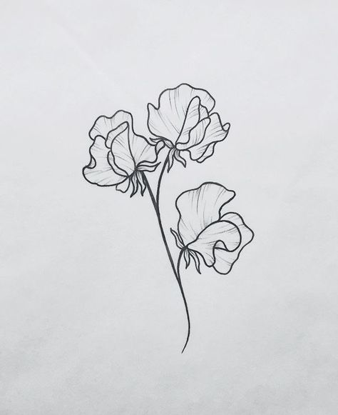 Sweet Peas Flowers Tattoo, Sweet Pea Drawing Simple, Sweat Pea Flower Tattoos, Sweet Pea Bouquet Tattoo, Sweet Pea Tattoo Simple, Sweet Pea Tattoo Design, Florist Tattoo, Sweetpea Flower Tattoo, Sweat Pea Tattoo