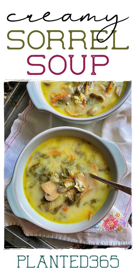 Potato Peel Recipe, Sorel Recipes, Recipes With Sorrel, Sorrell Recipe, French Sorrel Recipes, Sorrel Recipes, Sorrel Soup Recipe, Wood Sorrel Recipe, Sorrel Recipe